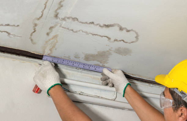 Reliable Basement Water Removal contractor in Concho, AZ by Water Damage Irwin